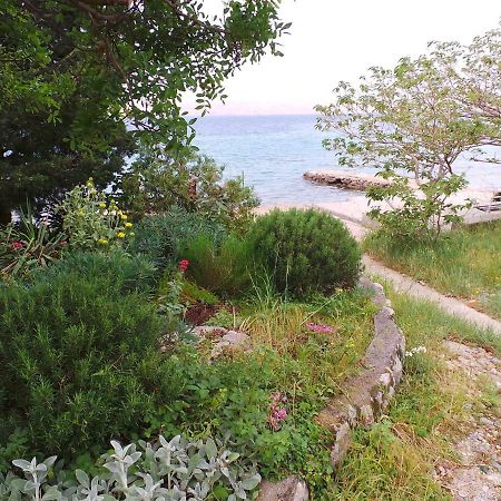 Apartmani Vjera Ribarica Εξωτερικό φωτογραφία
